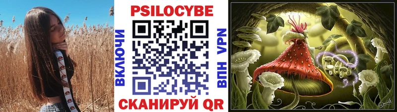 наркошоп  Моздок  Псилоцибиновые грибы Psilocybine cubensis 